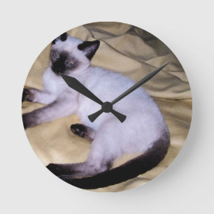 Horloge Ronde Chat Siamese grès grès animal art animal animal an