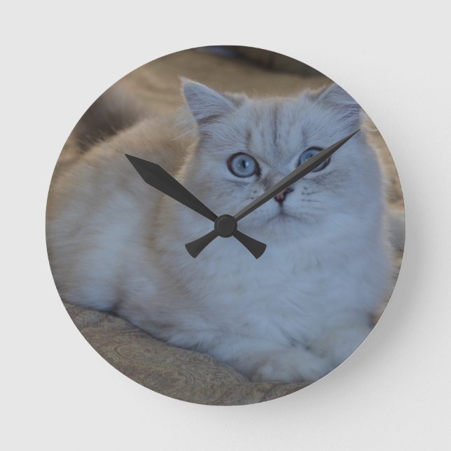 Horloge Ronde chaton (Recto)