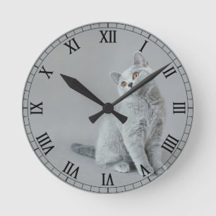 Horloge Ronde Chaton britannique de shorthair