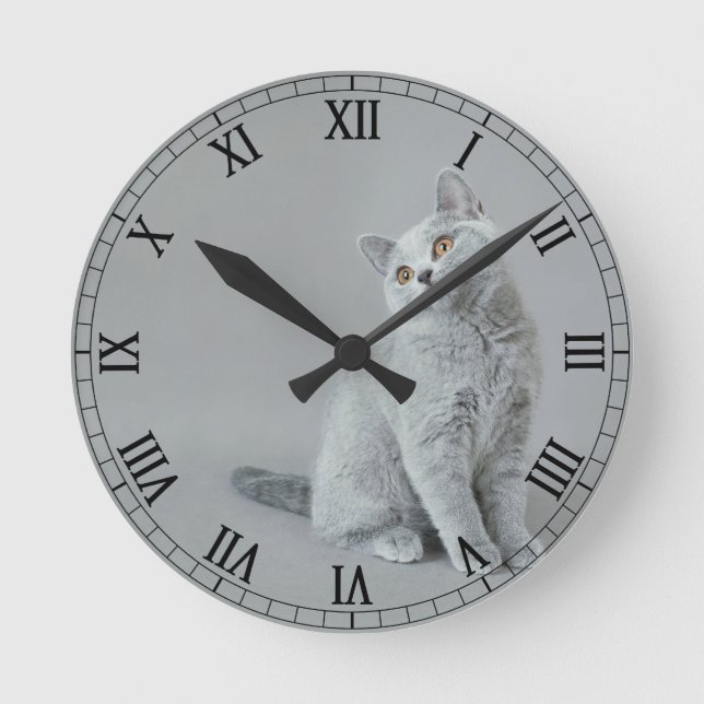 Horloge Ronde chaton britannique shorthair (Recto)