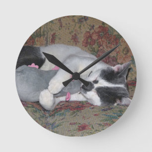 Horloge Ronde Chaton couchant