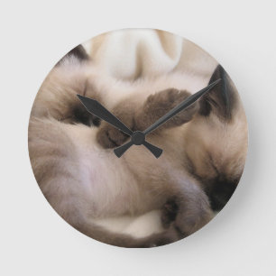 Horloge Ronde Chaton siamois mignon de chat d'animal familier de