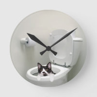 Chatte-chat dans un bol de toilettes