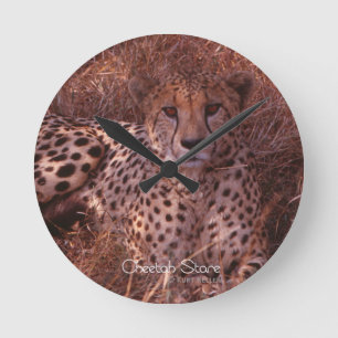 Horloge Ronde Cheetah Stare