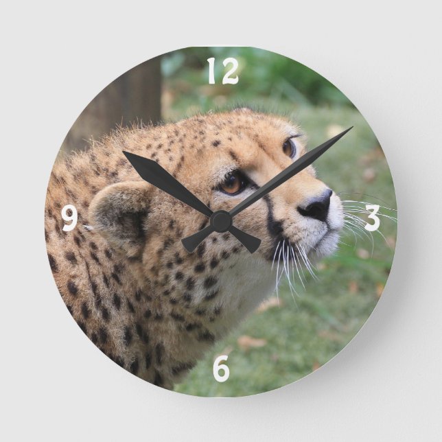 Horloge Ronde Cheetah sucré aux yeux appétissants (Recto)