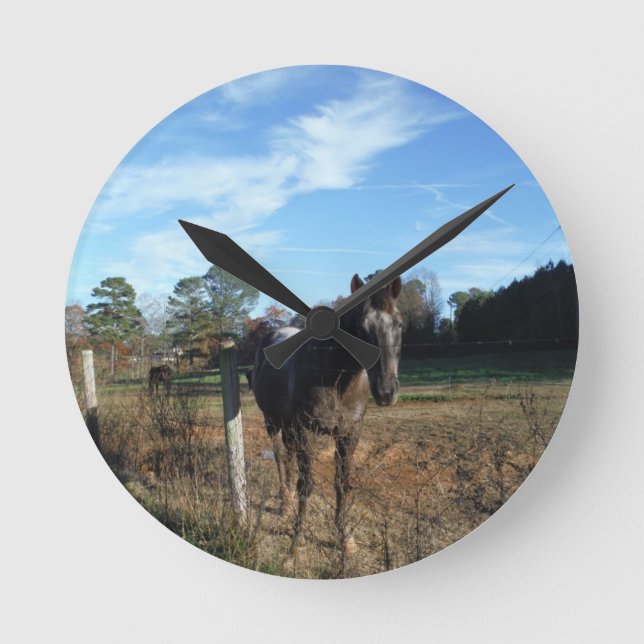 Horloge Ronde Cheval brun Coco et Crème (Recto)