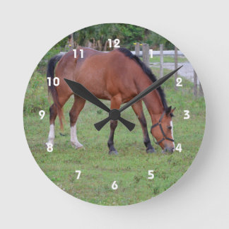Horloge Ronde cheval brun et blanc pâturant équin animal