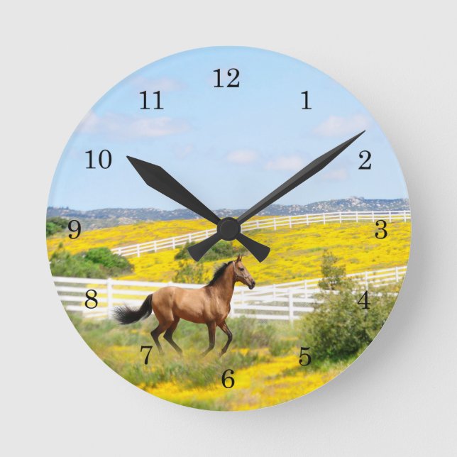 Horloge Ronde Cheval en peau de seau courant dans le champ de fl (Recto)