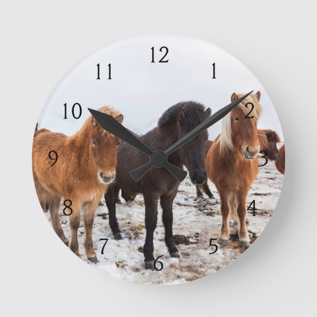 Horloge Ronde Cheval islandais pendant l'hiver sur l'Islande (Recto)