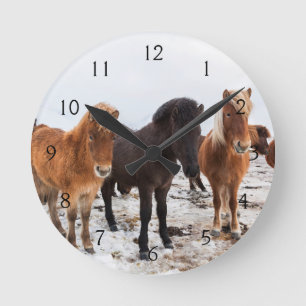 Horloge Ronde Cheval islandais pendant l'hiver sur l'Islande