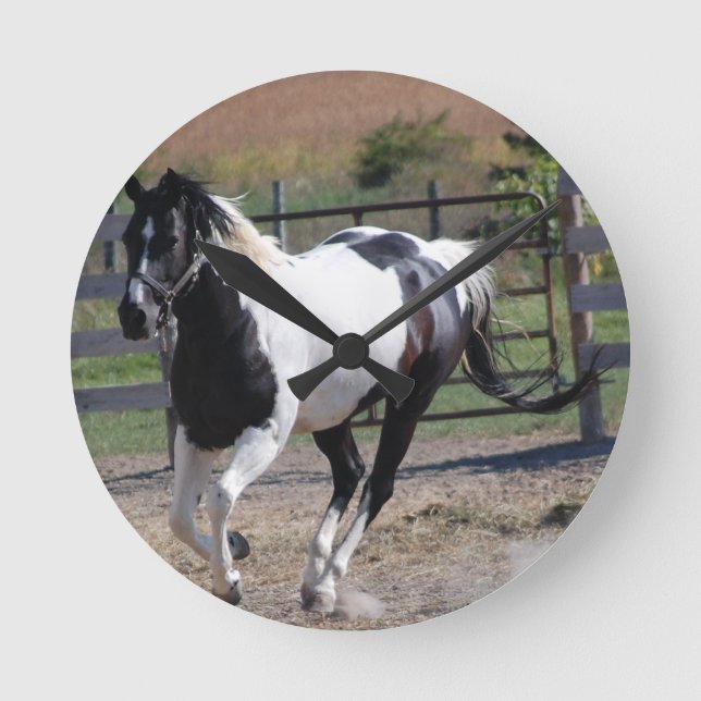 Horloge Ronde Cheval Pinto Paint (Recto)