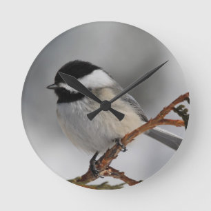 Horloge Ronde Chickadee du Maine