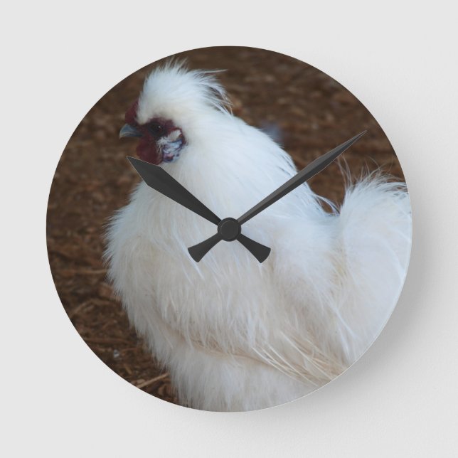 Horloge Ronde Chicken de White Silkie (Recto)