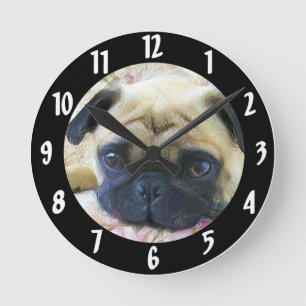 Horloge Ronde chien carlin