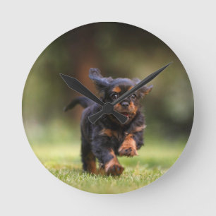 Horloge Ronde Chien, Chien, Chiot, Cavalier