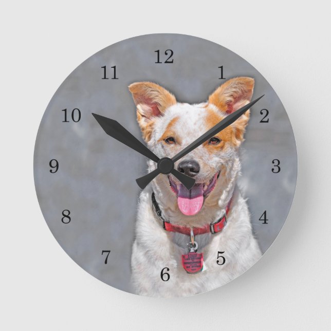 Horloge Ronde Chien de bétail secouru (Recto)