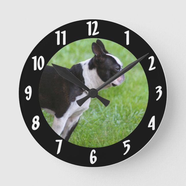 Horloge Ronde Chien de Boston Terrier (Recto)
