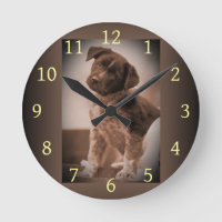 Chien de combat australien ~ Chien de chasse ~ Mas