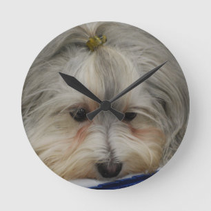 Horloge Ronde Chien de repos de Havanese