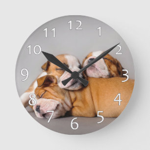 Horloge Ronde Chien de taureaux anglais dormant
