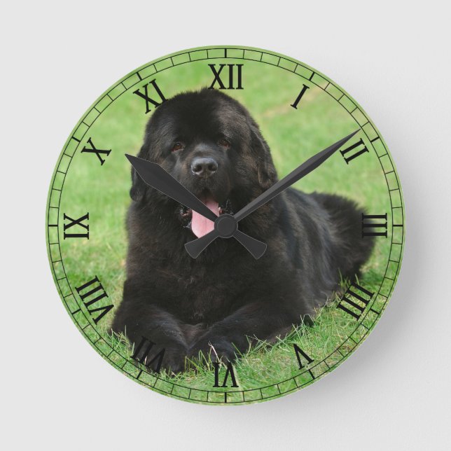 Horloge Ronde Chien de Terre (Recto)