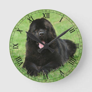 Horloge Ronde Chien de Terre