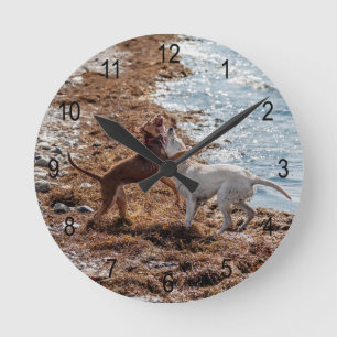 Horloge Ronde Chiens sur la plage