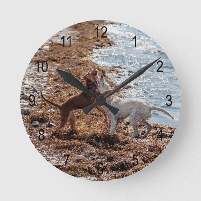 Horloge Ronde Chiens sur la plage (Recto)