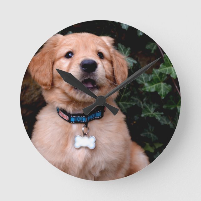 Horloge Ronde Chiot Golden Retriever (Recto)