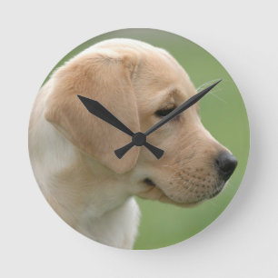 Horloge Ronde Chiot jaune de labrador retriever