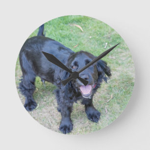 Horloge Ronde Chiot noir mignon