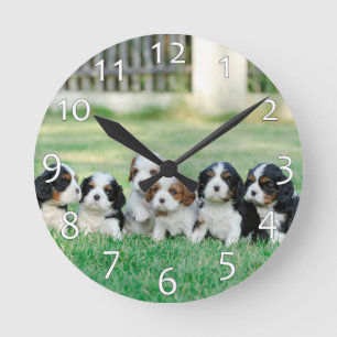 Horloge Ronde Chiots Cavalier King Charles Spaniel