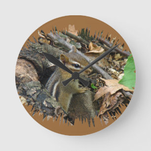 Horloge Ronde Chipmunk oriental - Tamias striatus