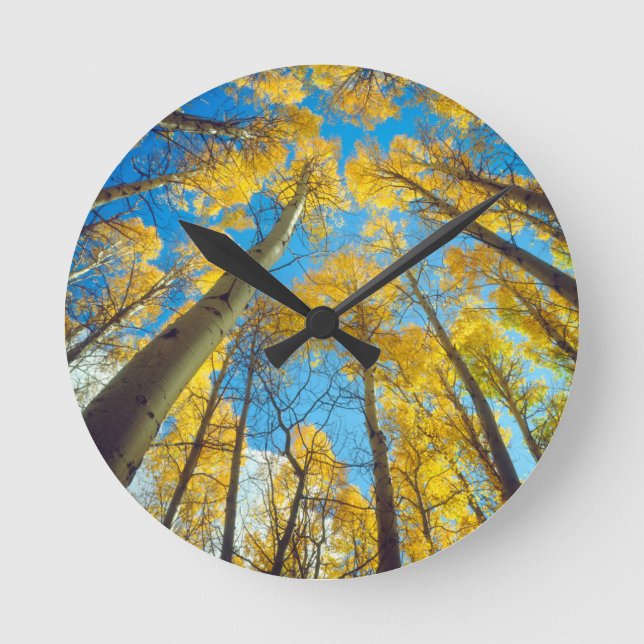 Horloge Ronde Chute d'Aspen trees 2 (Recto)