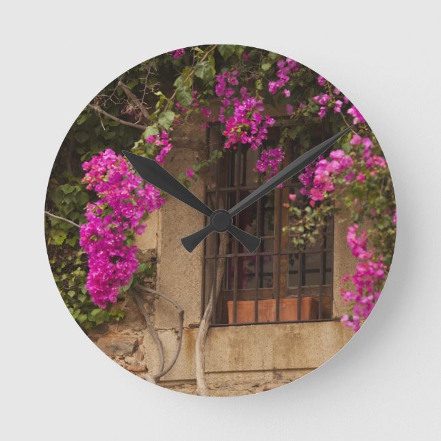 Horloge Ronde Ciudad Monumental, bâtiments couverts de fleurs (Recto)