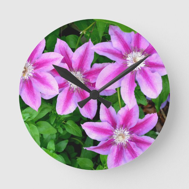Horloge Ronde Clematis rose et Oregano sauvage (Recto)
