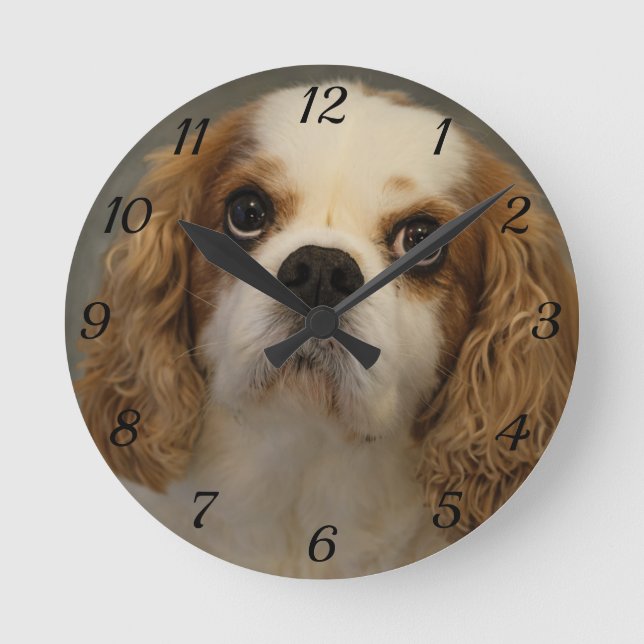 Horloge Ronde Clock Cavalier King Charles Wall (Recto)