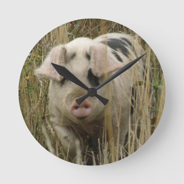 Horloge Ronde Clock Cute Pig (Recto)
