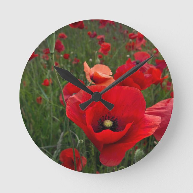 Horloge Ronde Clock de Red Poppies (Recto)