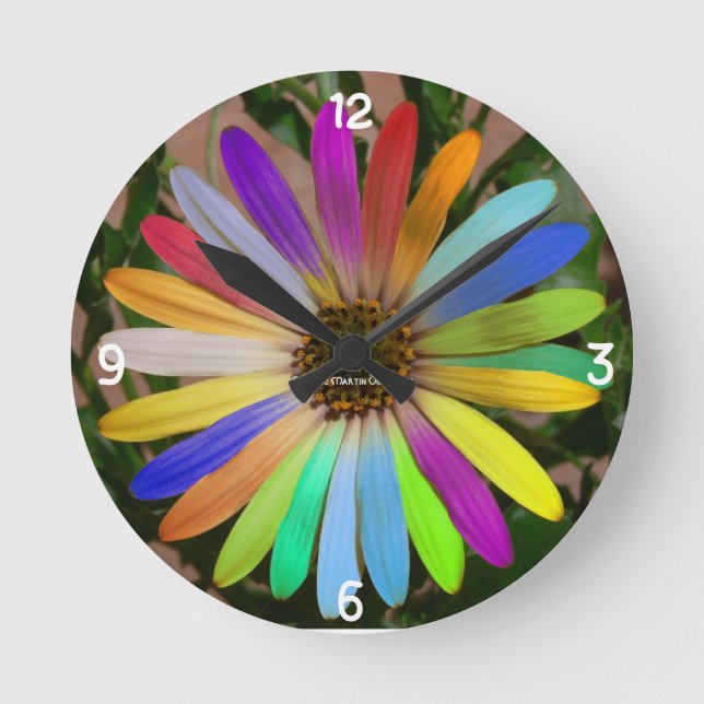 Horloge Ronde Clock de Sunflower (Recto)