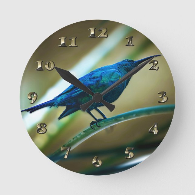 Horloge Ronde Closeuse perché de Sunbird de Malachite (Recto)