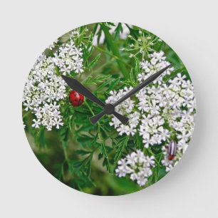 Horloge Ronde Coccinelle