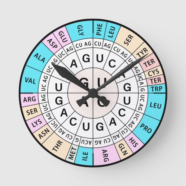 Horloge Ronde Codon Chart Genetic Code (Recto)