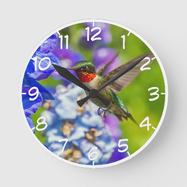 Horloge Ronde Colibri Et Delphinium (Recto)
