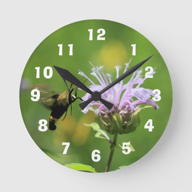 Horloge Ronde Colibri Mouche (Recto)