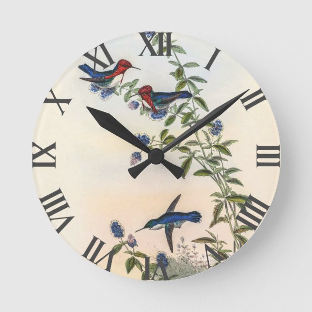 Horloge Ronde Colibri vintage par John Gould (Recto)