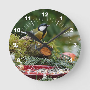 Horloge Ronde Colorful Bird Red Feeder