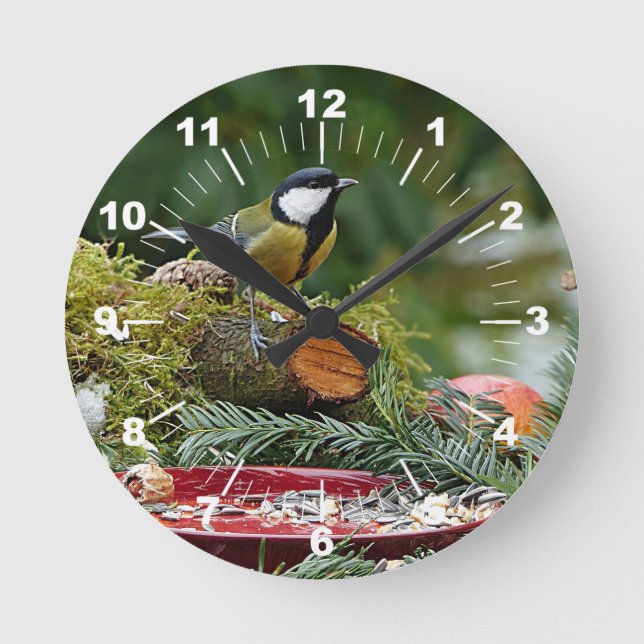 Horloge Ronde Colorful Bird Red Feeder (Recto)