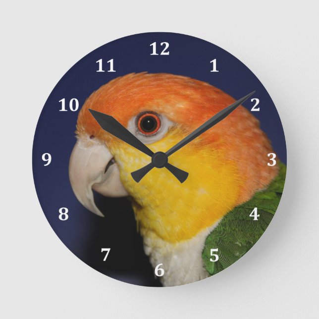 Horloge Ronde Colorful Caique Parrot (Recto)