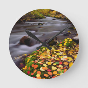 Horloge Ronde Colours d'automne le long de McGee Creek